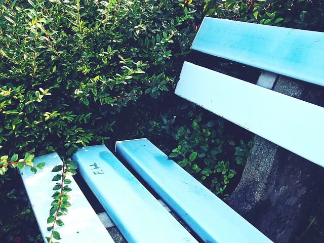 强力推动者 强力推动者