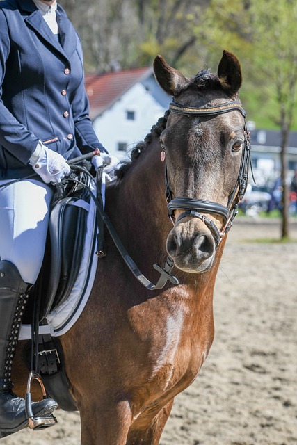 赛吸引着国 赛吸引着国