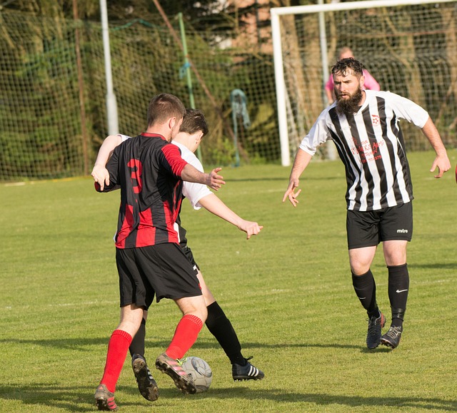 特罗风格的 特罗风格的