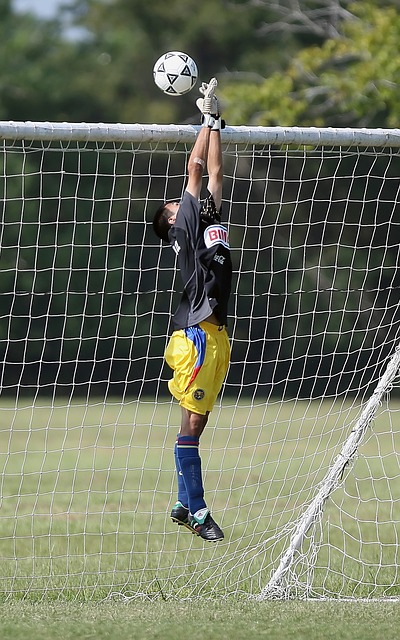 以及这对他 以及这对他