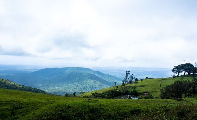 可能在某些 可能在某些