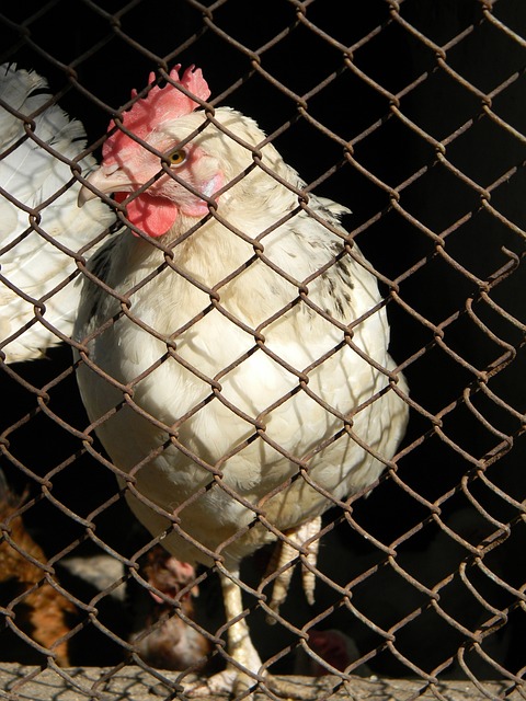 就一定会获 就一定会获